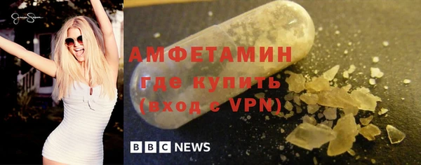 ГАЛЛЮЦИНОГЕННЫЕ ГРИБЫ Гусев