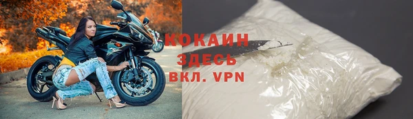 ГАЛЛЮЦИНОГЕННЫЕ ГРИБЫ Гусев
