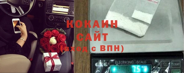 ГАЛЛЮЦИНОГЕННЫЕ ГРИБЫ Гусев