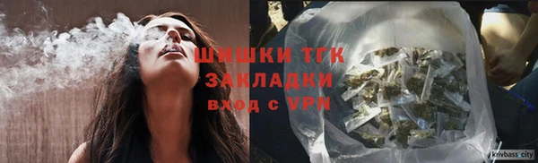 ГАЛЛЮЦИНОГЕННЫЕ ГРИБЫ Гусев