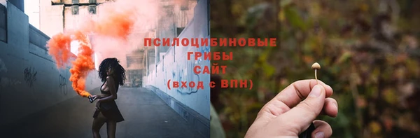 ГАЛЛЮЦИНОГЕННЫЕ ГРИБЫ Гусев