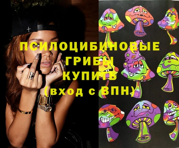 прущая мука Гусиноозёрск