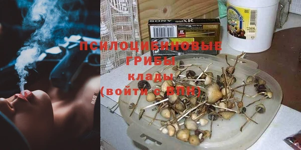 прущая мука Гусиноозёрск