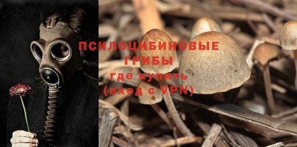 mix Гусь-Хрустальный