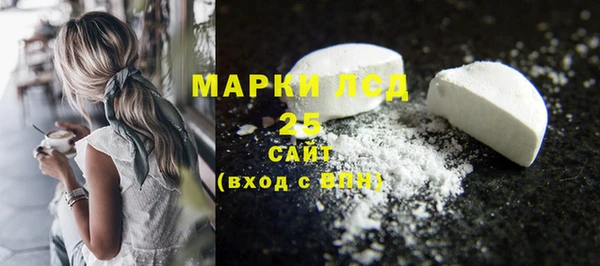 ГАЛЛЮЦИНОГЕННЫЕ ГРИБЫ Гусев