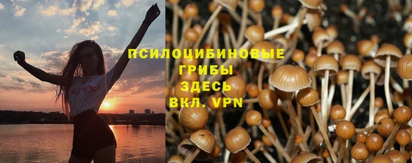 прущая мука Гусиноозёрск