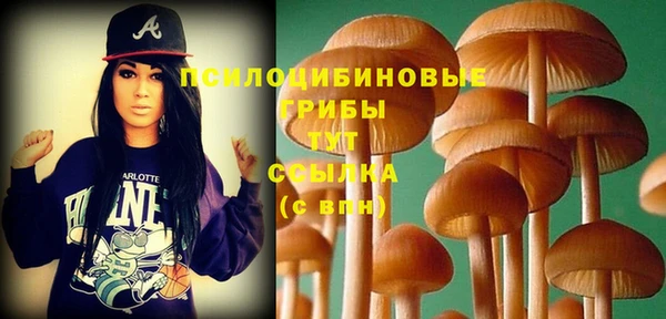 ГАЛЛЮЦИНОГЕННЫЕ ГРИБЫ Гусев