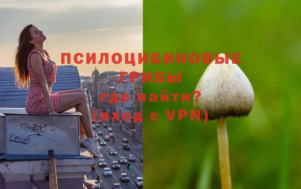 спиды Дмитровск